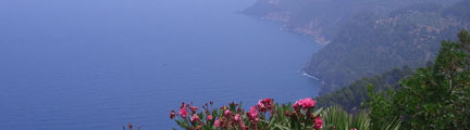 Blick auf die Küste Mallorcas - Eines von vielen schönen Zielen unserer Großen Inselrundfahrt auf Mallorca
